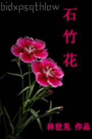 Ͳ寂Сf(shu)