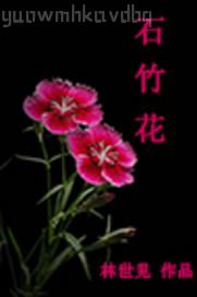 娛樂真人秀午夜成人直播
